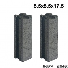 PTS-029-010-0 5.5X5.5X17.5 小強(qiáng)砂紙機(jī)